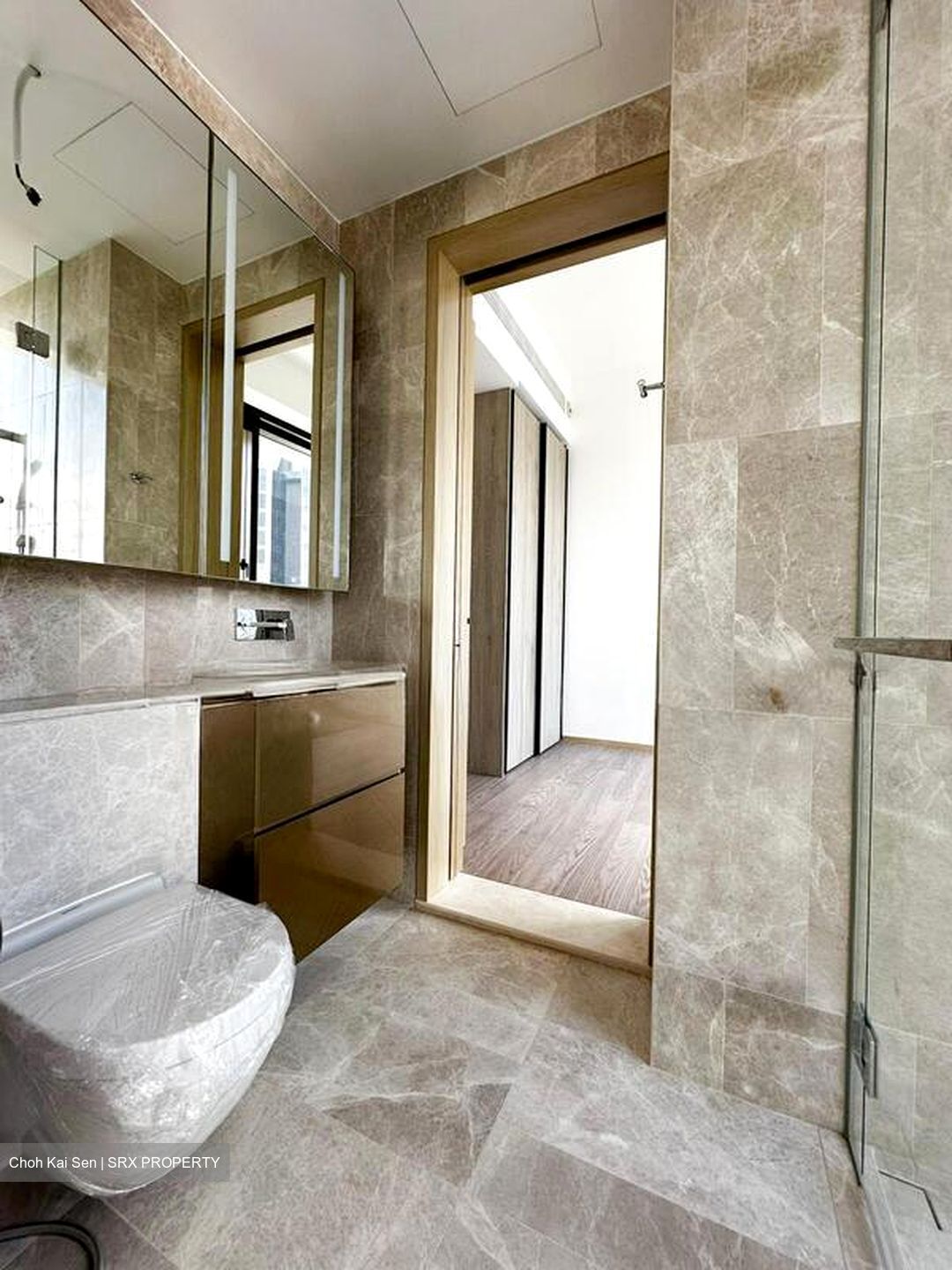 Klimt Cairnhill (D9), Apartment #497499861